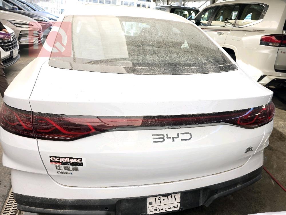 بي واي دي كوين L DM-i